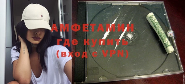 индика Волосово
