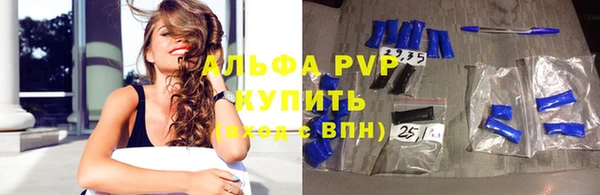 индика Волосово