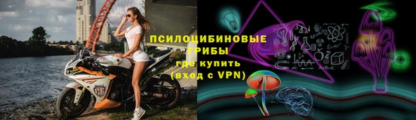 ПСИЛОЦИБИНОВЫЕ ГРИБЫ Волоколамск