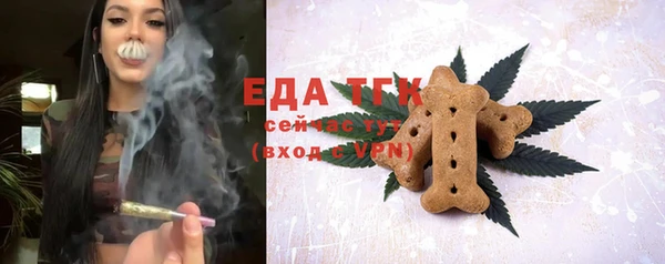 индика Волосово