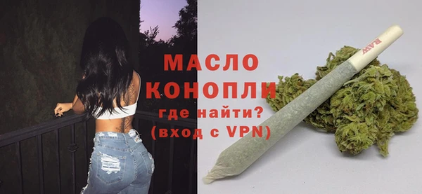 индика Волосово