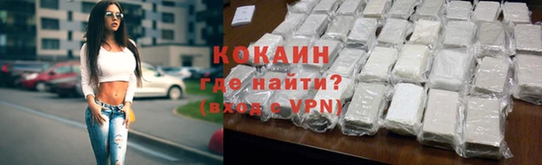 индика Волосово