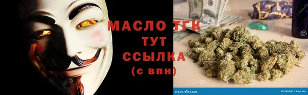 индика Волосово