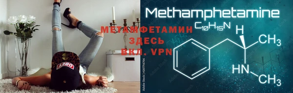 индика Волосово