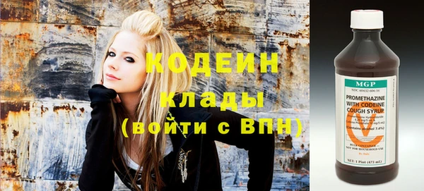индика Волосово