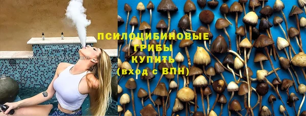 индика Волосово