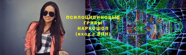 ПСИЛОЦИБИНОВЫЕ ГРИБЫ Волоколамск