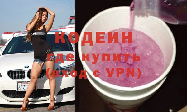 индика Волосово