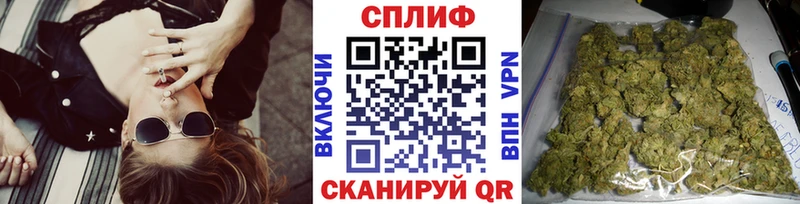 Купить  Стрежевой  Бошки Шишки гибрид 